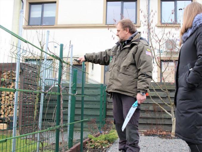 Kokybiškas sekatorius ir pjūklas – pagrindiniai genėjimo įrankiai bet kuriuo sezonu. Nuotr. L. Liubertaitė
